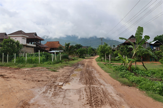 種蔗前爛泥路 (2).jpg