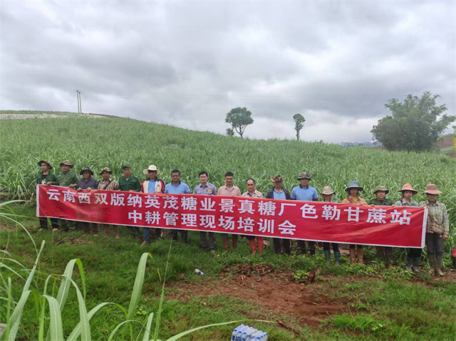 中耕管理現(xiàn)場培訓會.jpg