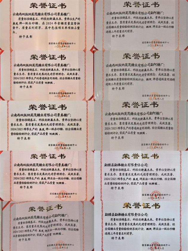 版納拼接.jpg